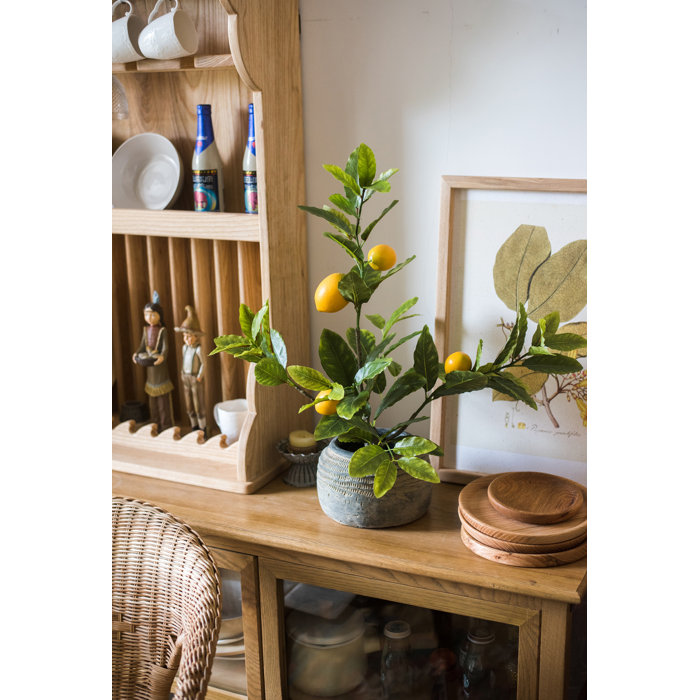 Gracie Oaks Faux Lemon Tree Wayfair